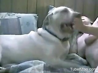 White doggy orally fucks a dick-swallowing hooker in the bed