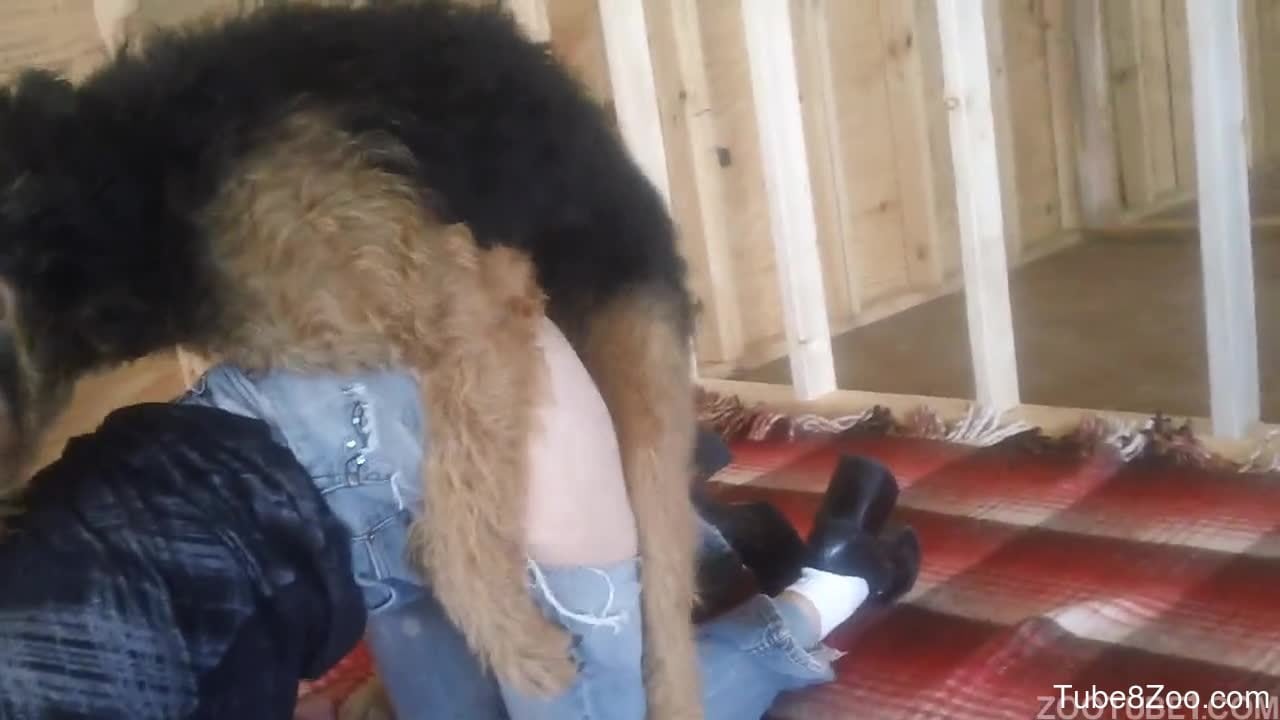 Dog Saxxe Garl - Dog tears off owner's jeans and starts banging her