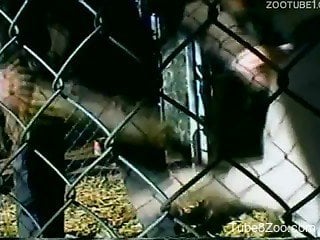 Caged animal violently fucking a fat mature zoophile