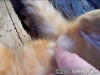 Dude fingering his kitty's cute little pussy