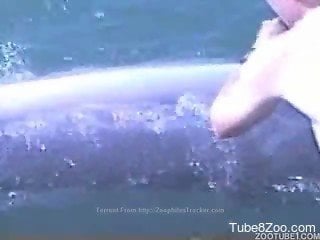 Dude teasing a dolphin's hole in a candid porn video