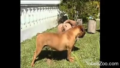 Xxxsexyzoocom - Sexy Latina bitch fucking a cute bulldog outdoors