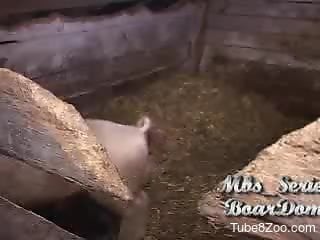 Pig with a twisted cock fucking a kinky dude on cam