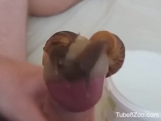 Man masturbates with snails and loves the crawling creatures
