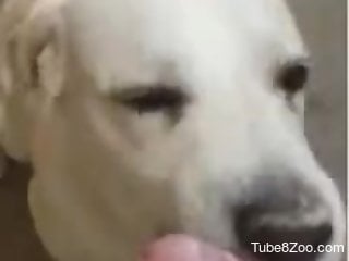Dude's delicious cock is the best treat for a dog