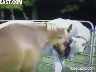 Sexy stallion receives a great handjob on camera