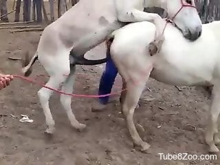 Horses fucking makes the naked man feel very aroused