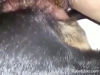 Dude showing his awesome dick while fucking an animal