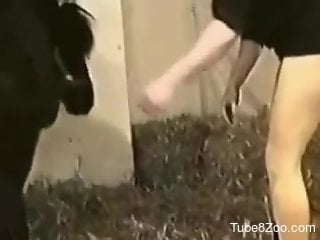 Perky ass babe getting fucked by a hung horse