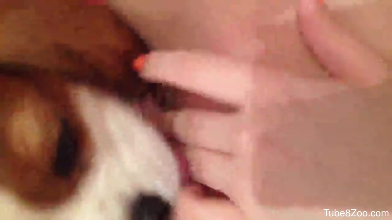 Puppy licks pussy