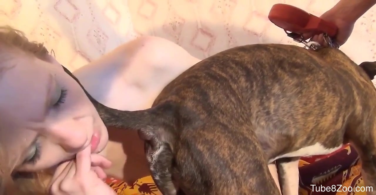 Sexy woman lets her dog sniff and fuck her pussy