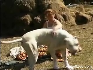 Trimmed pussy babe getting screwed by a sexy beast