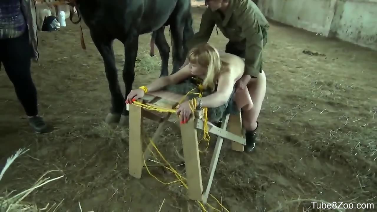 Horse and girl xxx hd video