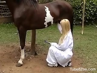 Veterinarian fucking a horny horse from behind