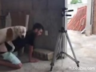 Dude screwed by a dirty dog in a hot porno movie