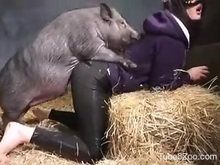 Hairy pussy mommy getting fucked by a dirty pig