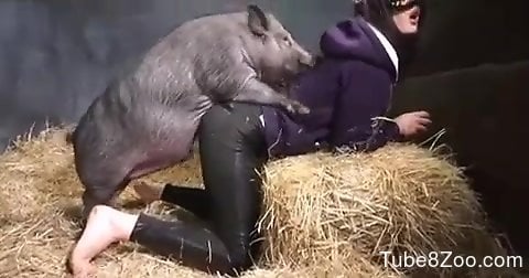 Pig Vs Woman Sex - Hairy pussy mommy getting fucked by a dirty pig
