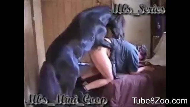 Hotse Video Xxxx - Compilation of hot fucking with the biggest horse cocks