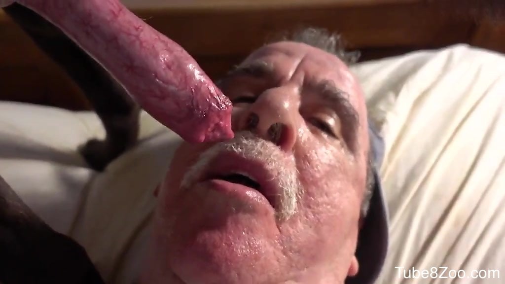 1024px x 576px - Old man zoophile worships a dog's dick really hard