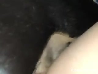 Zoomed-in zoophilic footage that will make you cum