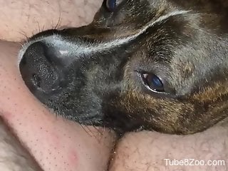 Dog makes horny owner feel very relaxed and happy