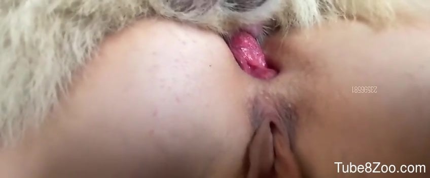 Tight butthole of a hot zoophile drilled deeply