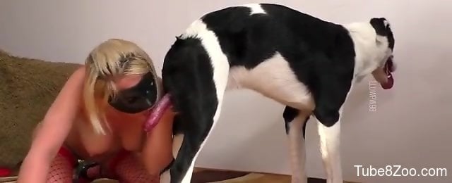Dog Ladysex - dog and girl sex video