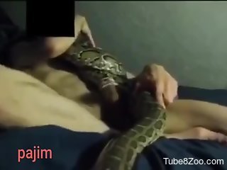 Nude man jerks off holding a snake on his big dick