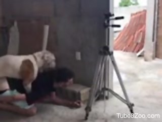 Aroused man filmed when getting ass fucked by a dog
