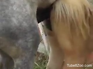 Man films horse fucking his female in really harsh modes