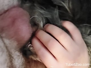 Aroused man humps furry dog in the pussy the hard way