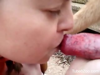 Aroused babe filmed sucking a tasty dog dick like a whore