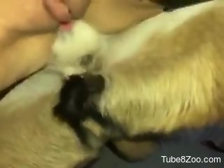 Horny woman feels real dog dick in her pussy and ass