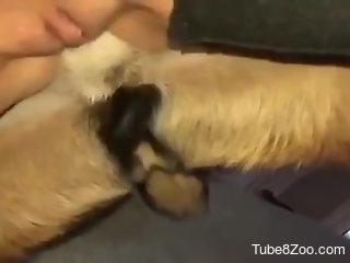 Horny woman feels real dog dick in her pussy and ass