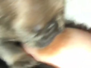 Small puppy sucks woman's tits thinking it's milk in there