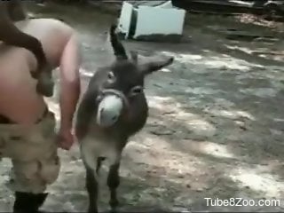 Donkey ass fucks naked man and causes him pleasure