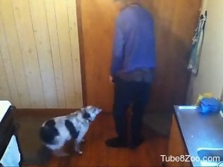 Old guy fucks his furry dog the hard way in loud scenes